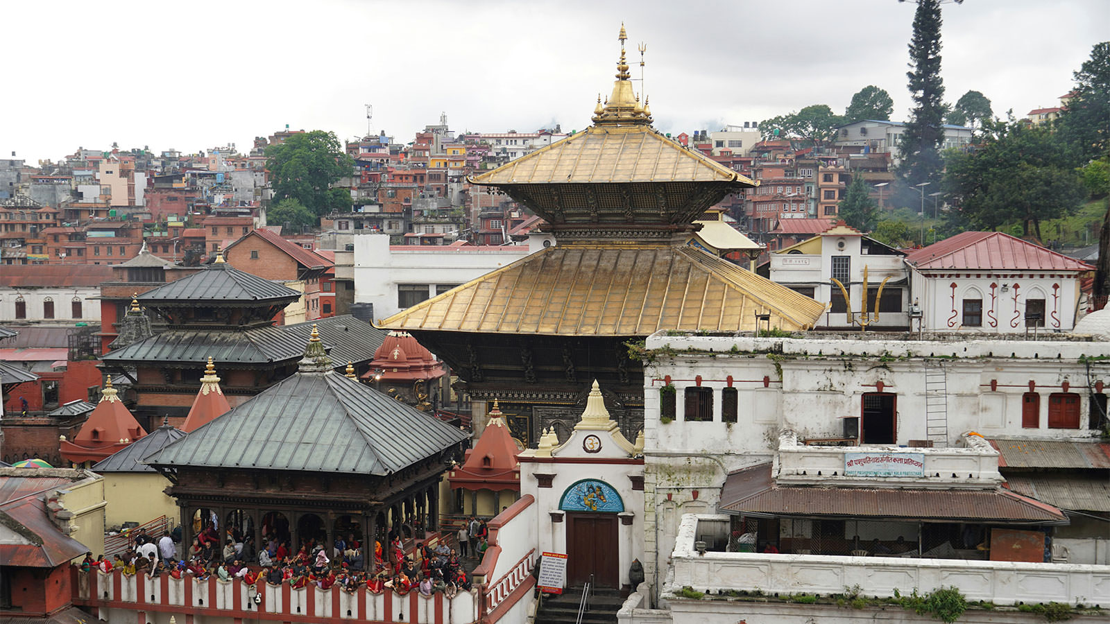 Pashupatinath Temple, Kathmandu