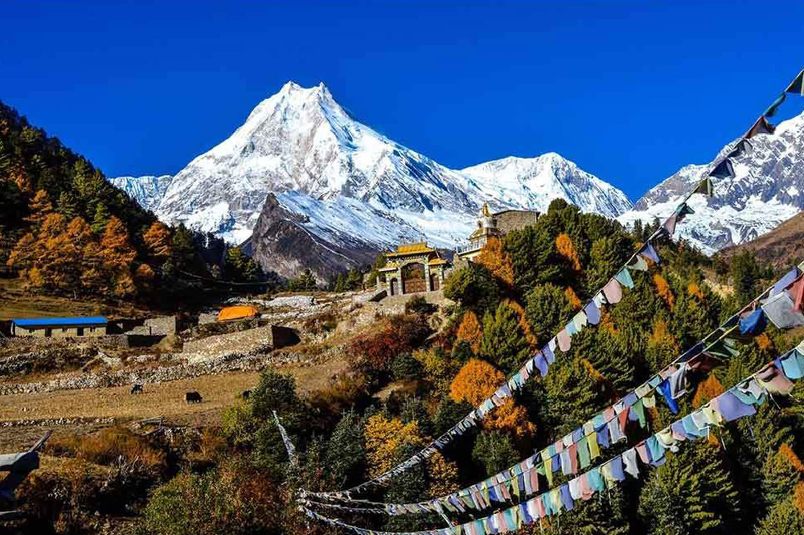 Manaslu Trekking Route Reopens: What Travelers Need to Know