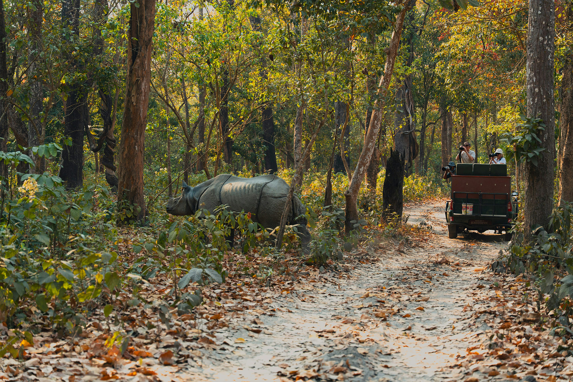 I5U9M-chitwan.jpg