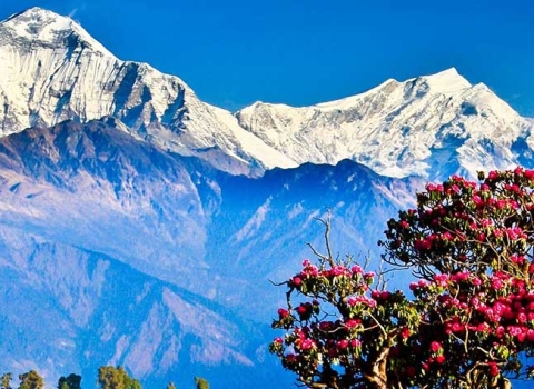 Golden Triangle of Nepal